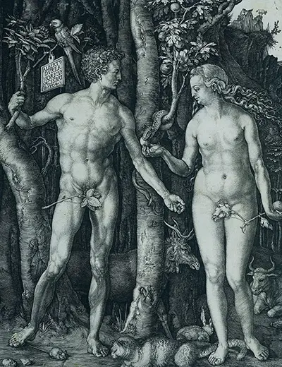 Adam and Eve Engraving Albrecht Durer